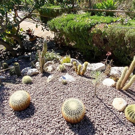 Cortijo Lagar De Luisa Guest House Borge ภายนอก รูปภาพ