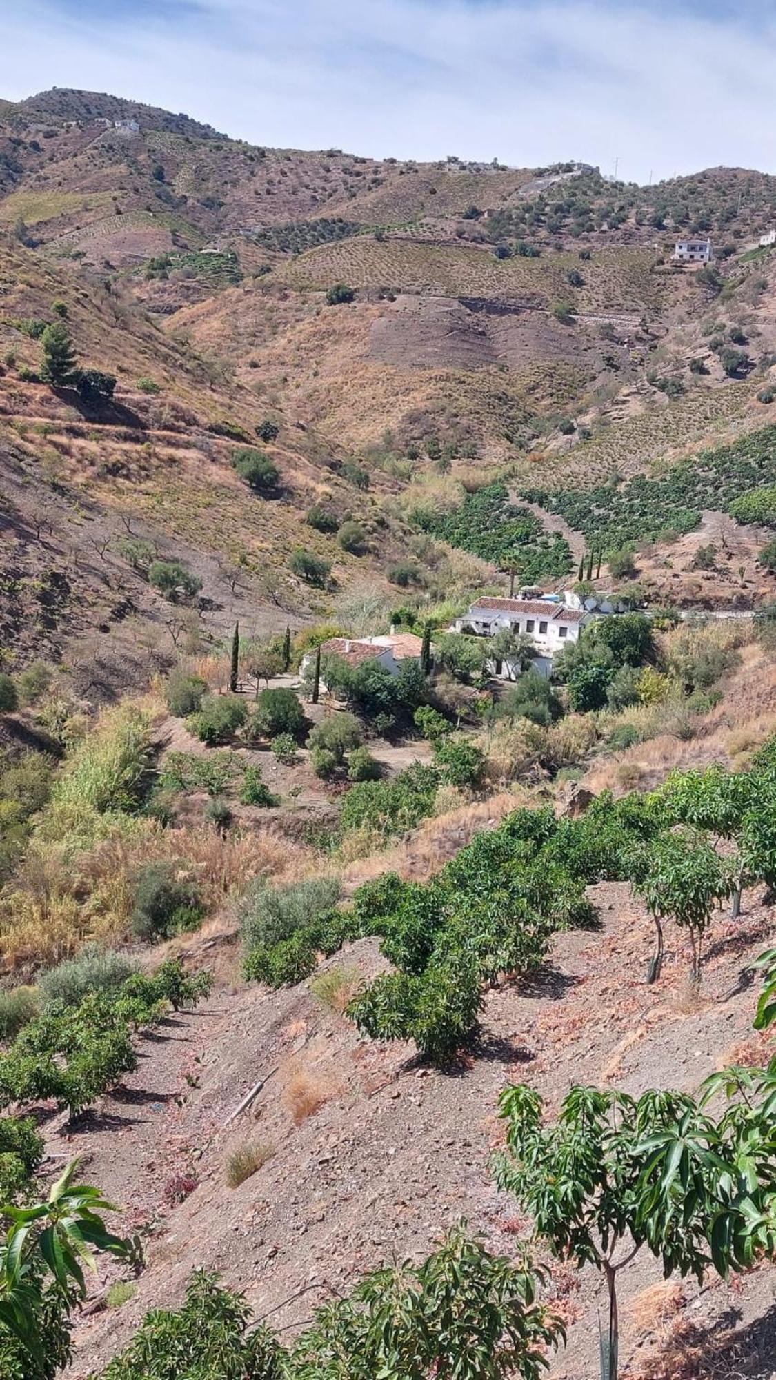 Cortijo Lagar De Luisa Guest House Borge ภายนอก รูปภาพ