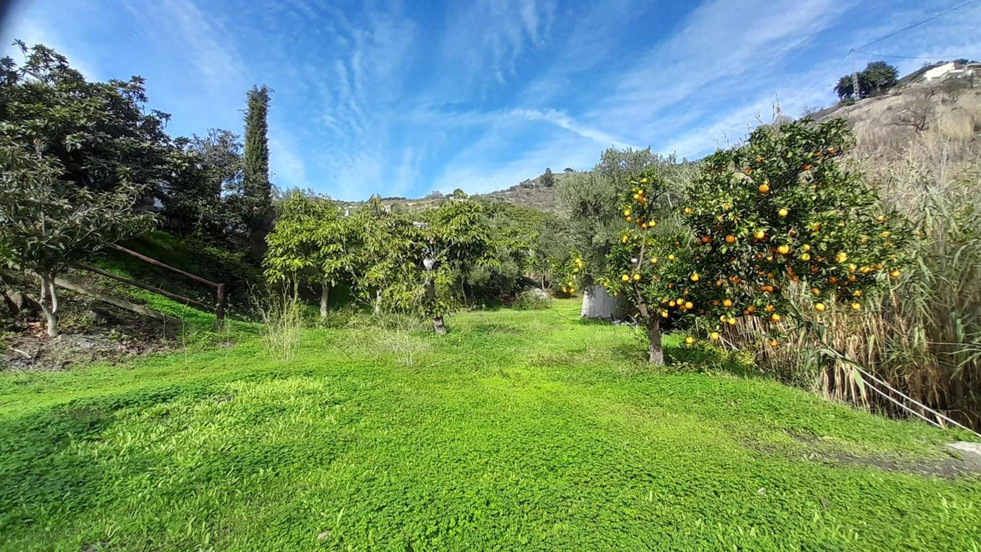Cortijo Lagar De Luisa Guest House Borge ภายนอก รูปภาพ