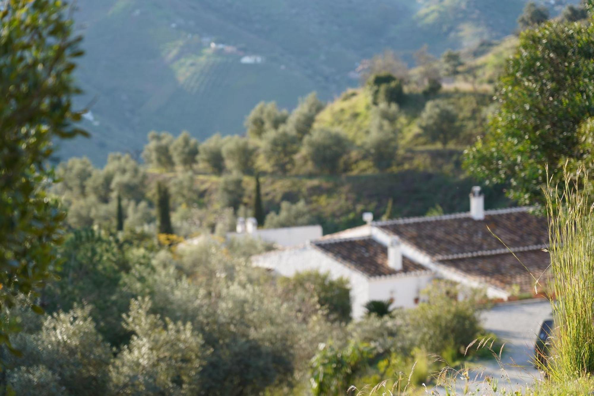 Cortijo Lagar De Luisa Guest House Borge ภายนอก รูปภาพ