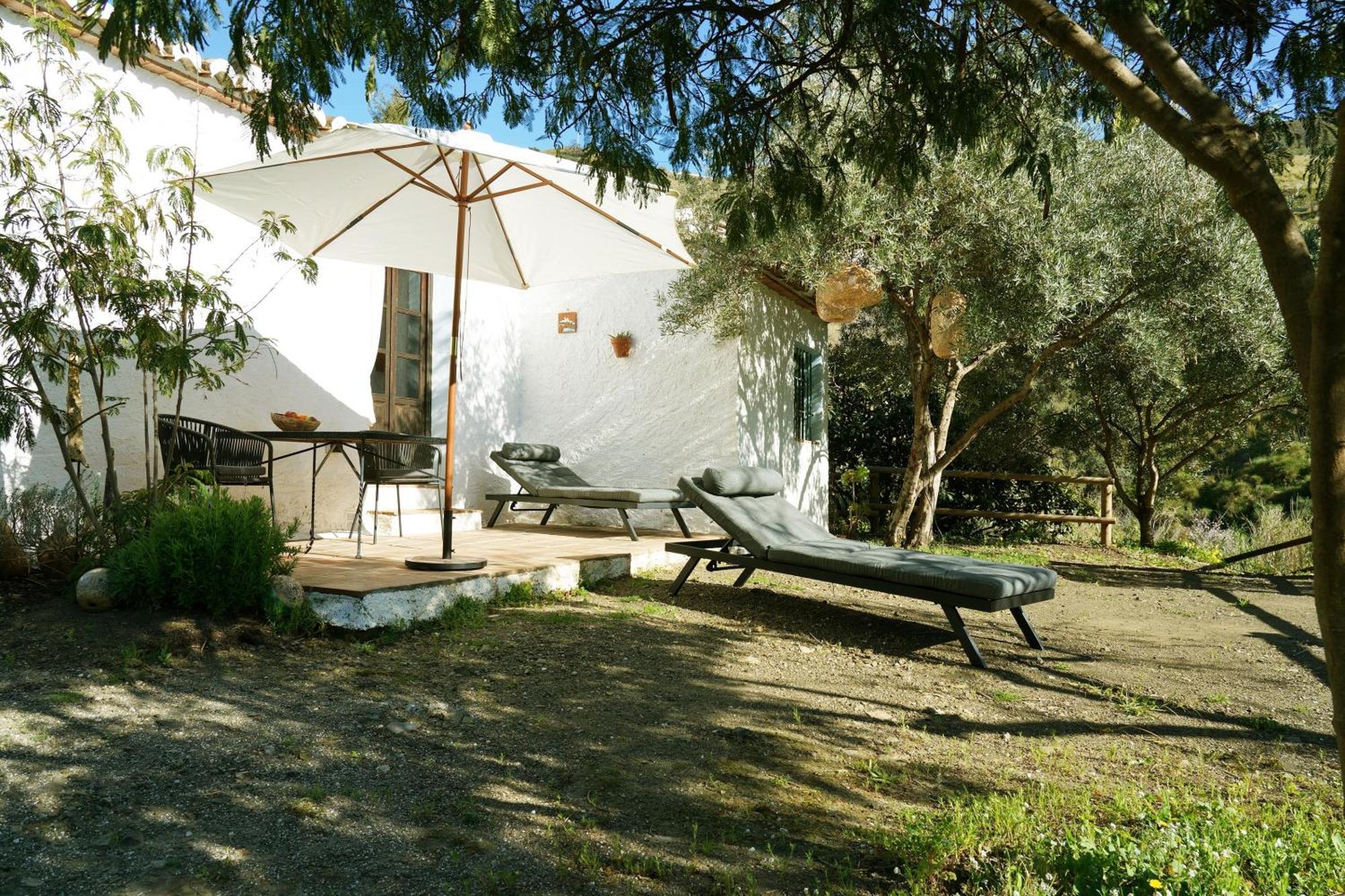 Cortijo Lagar De Luisa Guest House Borge ภายนอก รูปภาพ