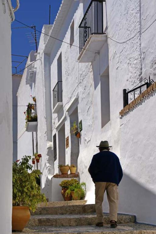 Cortijo Lagar De Luisa Guest House Borge ภายนอก รูปภาพ